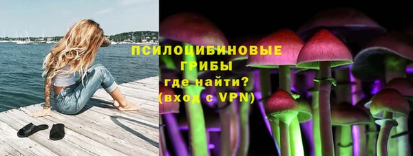 шишки Алзамай
