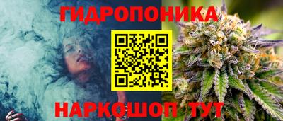 бутират Кингисепп