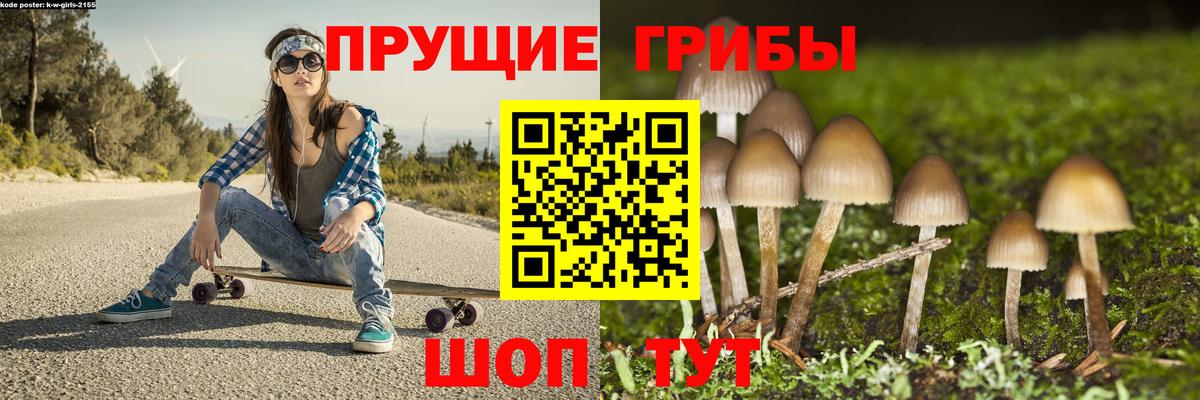 Псилоцибиновые грибы ЛСД  Вход с VPN  Галлюциногенные грибы Cubensis  Омск 